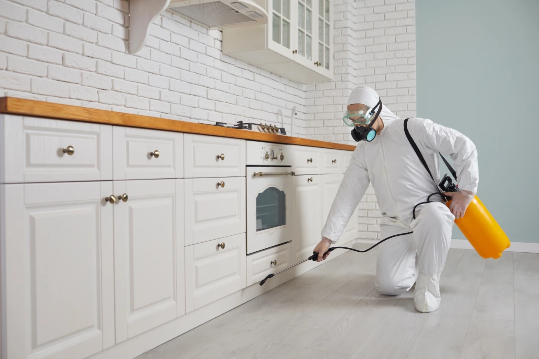 pest control fairfield