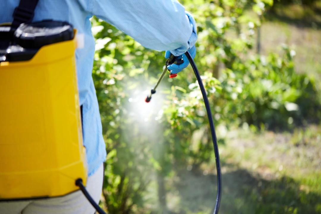 pest control Ingleburn