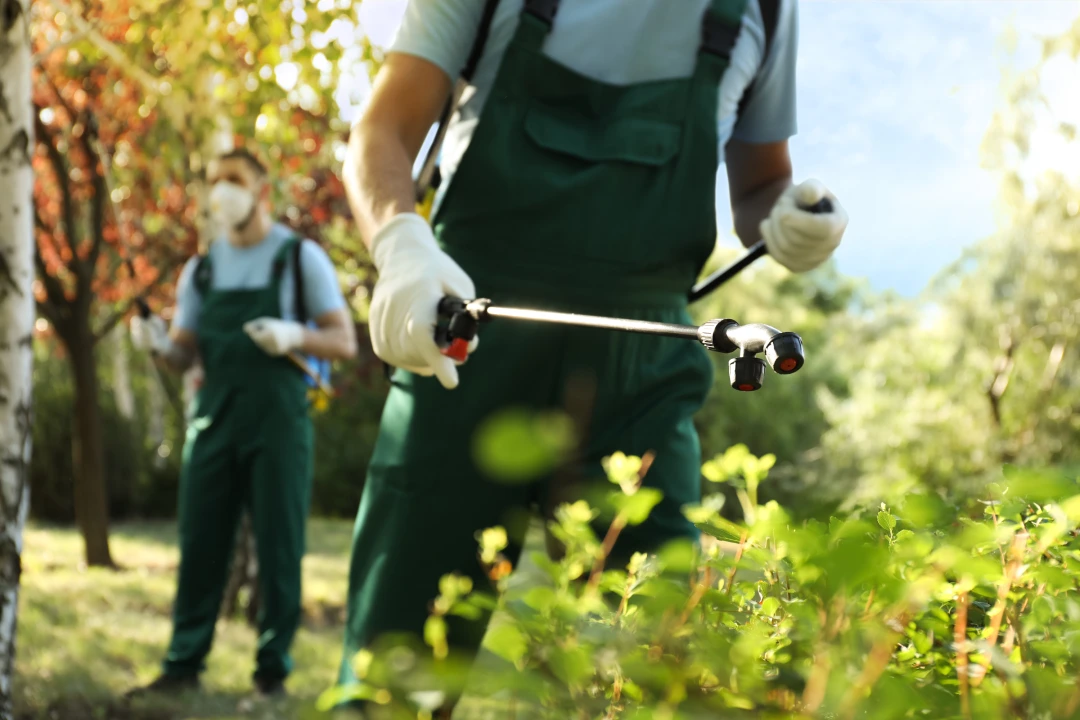 pest control Ingleburn